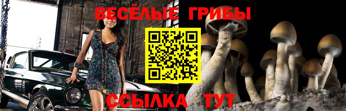 Меф Великий Устюг