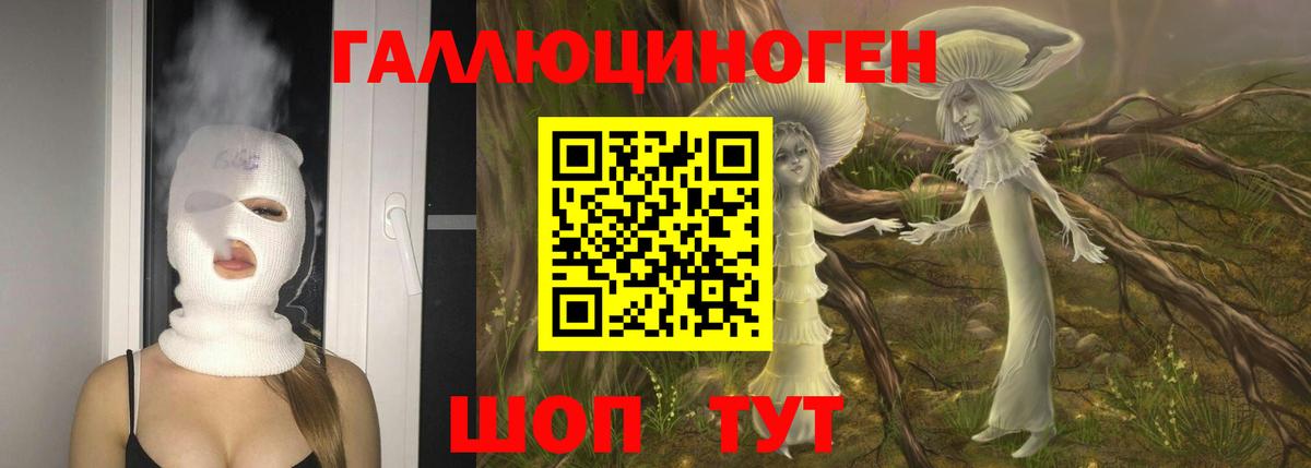 Галлюциногенные грибы прущие грибы Великий Устюг
