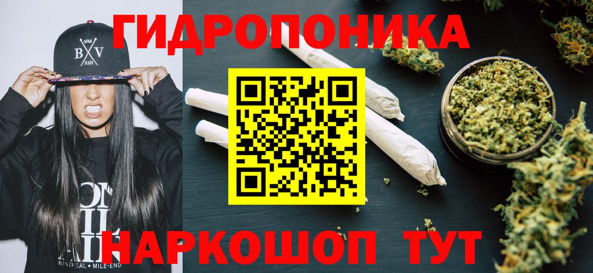 Шишки марихуана Ganja Великий Устюг